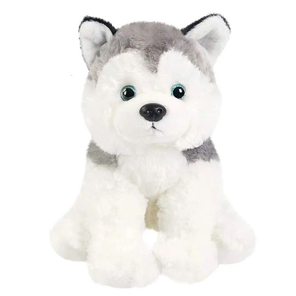 30cm Husky Doll Black White Dog Toys Jouets mignons Oreilleurs de lancer doux Pp Coton High Quality Farmed Animaux pour Girl Birthday Gift 240329