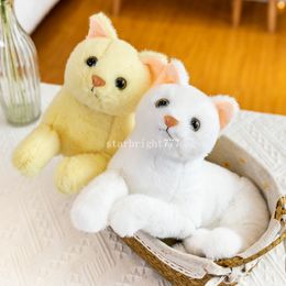 30 cm Kawaii Lifelike Cat Plush Toys Doll Soft Baby speelgoed Gevulde pure kleuren Grijs wit geel kitten speelgoed huisdieren dierenkinderen cadeau