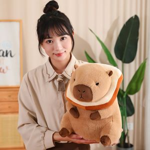 30cm kawaii Transform Capybara Série en peluche Doll Capybara Transform Brequet bouquet avocat dinosaure Unicorn Rabbit Fun Pluce Doll