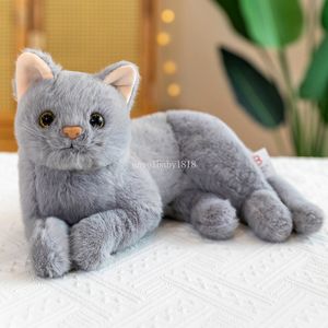 30 cm levensechte echt gevoelige kat pluche pop gevulde pure kleuren grijs wit geel kitten speelgoed huisdieren dieren kinderen verjaardagscadeau huis decoratie