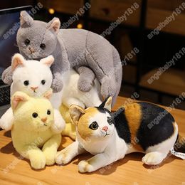 30 CM simulé doux chaton chat en peluche poupée floue peluche chatte chat rayé Orange noir blanc garçons filles cadeau d'anniversaire