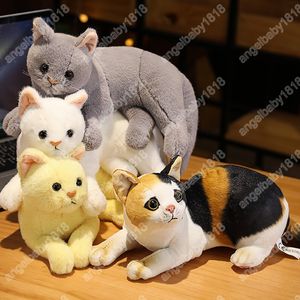 Muñeco de peluche de gato gatito dulce simulado de 30CM, gatito de peluche borroso, gato a rayas, naranja, negro, blanco, regalo de cumpleaños para niños y niñas