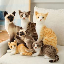 30 cm en peluche réaliste chats siamois en peluche simulation American Shorthair mignon chat poupée jouets pour animaux de compagnie décor à la maison cadeau pour les filles anniversaire