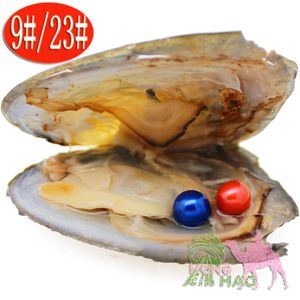 30 huîtres perlières Love Wish de culture d'eau douce avec perle à l'intérieur 28 couleurs (forme ronde) (6-7 mm). récoltez votre propre perle - super cadeau !
