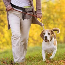 30 stcs duurzame huisdierhonden behandelen aas taille zakje puppy beloning gebaseerde trainingszak met gesp gordel gemakkelijk huisdierspeelgoed voor huisdieren benodigdheden