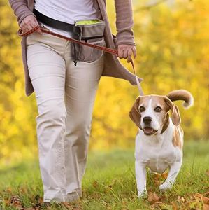 30 Uds. Durable Pet Dog Treat cebo cintura bolsa cachorro recompensa basado bolsa de entrenamiento con hebilla cinturón fácilmente lleva juguetes para mascotas suministros para mascotas