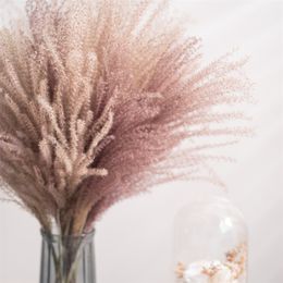 30 stcs echte gedroogde riet bloemen Bouquet Home Wedding Decoratietafel Flores Preservadas Natural Pampas Grass Decor voor kamer 0614