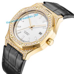 Montre de luxe en diamant pour hommes, en acier inoxydable 316L, montre d'affaires, mouvement automatique, 8215
