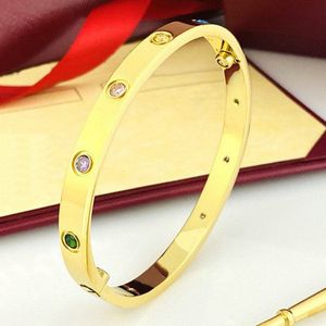 Roestvrijstalen ontwerper Bangle kleurrijke steen luxe armbanden armbanden voor vrouwen mannen schroevendraaier armband voor minnaar