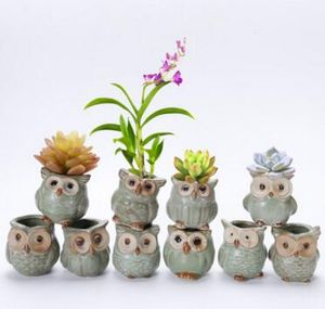 320 pièces joli Pot de jardin Durable respirant Animal hibou céramique pots de fleurs Anti-usure résistant à la Corrosion Mini jardinières Portable