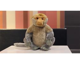 32 CM Levensechte Zitten Neusaap Knuffel Speelgoed Maleisië Reizen Leuke Luie Aap Knuffel Pop Gift T2006191454994