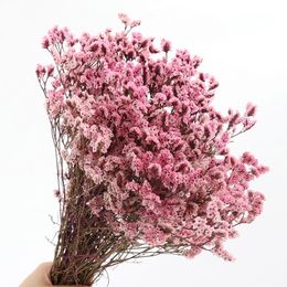 35 ~ 45 cm / 100g réel naturel séché de fleur en cristal préservé bouquet de fleurs sèches arrangement floral d'herbe, décoration de mariage à la maison