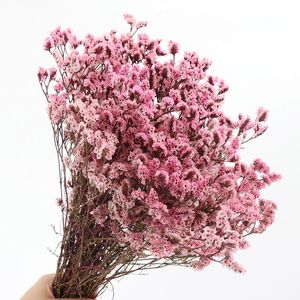 35 ~ 45cm/ 100 g echt natuurlijk gedroogd bewaard gebleven kristalgras bloemboeket droge minnaar gras bloem arrangement, huis bruiloft decor