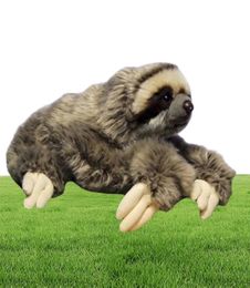 35 cm Premium Three Toed Sloth Real Life Folided Animal Folivora Cadeaux Pireons Plux Doll Toy5898374