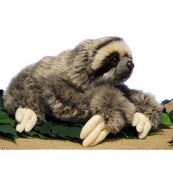 35 cm Premium Three Toed Sloth Real Life Folided Animal Folivora Cadeaux Pireons Plux Doll Toy6978292