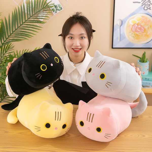 35 cm nouveau Kawaii chat en peluche poupée dessin animé mignon chat en peluche oreiller poupée donnant petite amie cadeau d'anniversaire UPS gratuit