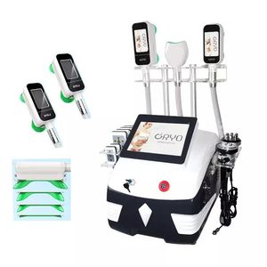 360 Freeze cryolipolyse Gewichtsverlies Vetreductie Slankapparatuur Lipo Laser Adipose Verminder machine