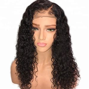 13x4 Frontal HD Lace Wig Transparent Frontal Virgin Malaysian Curly Invisible Knots Lacefront Wigs For Black Women Bleached Knots diva1