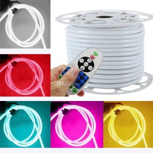 360 ronde LED-neonreclame-lichtstrip AC110V 220V lexibele lichtslangen 120led / M 2835 dimbaar IP65 waterdicht vakantiedecoratie 50M 100M LL