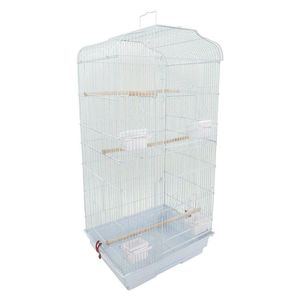 37 oiseaux perroquet cage canari perruche calopsitte F qyltus bdesports210E