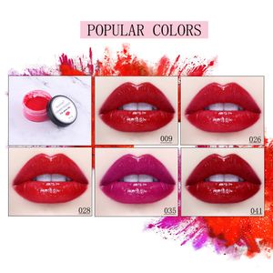 38-65 couleurs Pigment Powder for DIY Lief Gloss Material Glaze à lèvres Pigment pour le kit de fabrication de lèvres de bricolage