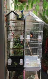 39 inch grote vogelkooi dak top staaldraad plastic feeders papegaai zons paraket groene wang vink kanarie zwart witte kooien6020188
