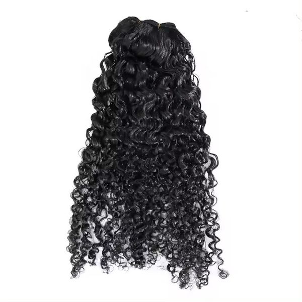 3C4a Birmane Coiffes Bundles Human Human Humane Birmanse Vietnamien Raw Human Hair Extensions for Women Wholesale 100g Livraison GRATUITE