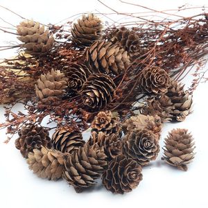 3 CM Naturel Noix De Pin Fruit Artificiel Pour La Fête De Mariage Décoration De Noël Accessoires De Jardin Faux Fruits Légumes