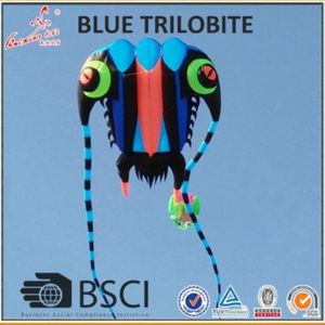 3d 7sqm Kite Soft Soft 3d enorme gigante suave Trilobites Kite al aire libre Fly270Q