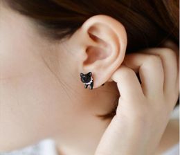 3d schattige zwarte kat piercing stud oorbellen voor vrouwelijke meisjes en mannen parel oorrang mode sieraden groothandel2260657