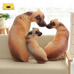 3D Leuke Levensechte Bend Hond Gedrukt Sierkussen Grappige Hond Hoofd Pluche Kussen Knuffeldier Plushie Decor voor Thuis Kinderen Cadeau 240226