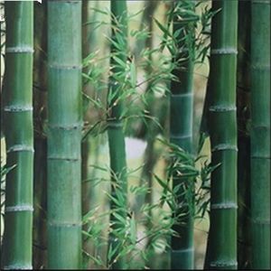 3D Green Static Glass Window Film ONAQUE Self Adhesive Frosted Privacy Decoratieve stickers 200cm Y200416
