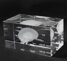 Modèle anatomique humain 3D Paper Paper Paper Laser gravé Brain Crystal Glass Cube Anatomy Mind Neurology Thinking Science Gift 2111014518517