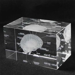 Modèle anatomique humain 3D presse-papier gravé au laser cerveau cristal verre cube anatomie esprit neurologie pensée science cadeau 211101333S