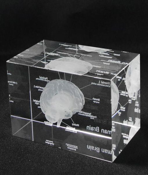 Modèle anatomique humain 3D presse-papier gravé au laser cerveau cristal verre cube anatomie esprit neurologie pensée science médicale cadeau 27060026