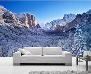 3D-muurschilderingen behang voor woonkamer sneeuw Mooie waterval landschap muurschildering