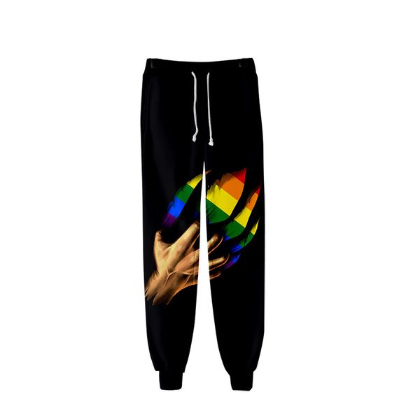 Pantalones de chándal con estampado 3d para hombres y mujeres, LGBT, lesbianas, Gay, orgullo arcoíris, Harajuku, pantalones de chándal de longitud completa, pantalones de invierno, pantalones casuales divertidos 004