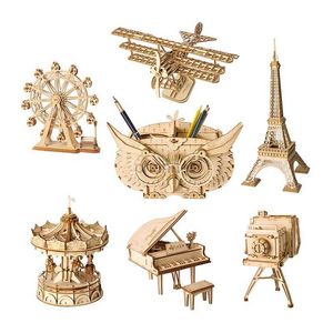 3d puzzels robotime diy 3D houten puzzel speelgoedmodel speelgoedvliegtuig merry go round ronde wiel speelgoed voor kinderen 240419