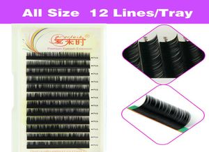 3D Volume Natuurlijke Wimperverlenging Valse Wimpers Individuele Wimpers Make-up Tool Korea Fiber 4 Trays B CCurl 8-15mm1832690
