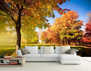 3D behang muurschildering decor foto achtergrond herfst bos landschap kunst muurschildering voor woonkamer groot schilderij home decor