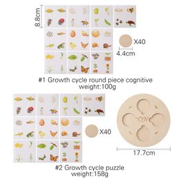 Puzzle en bois 3D Montessori Puzzle Puzzle Cycle Kit de puzzle Match pour les enfants Formation Cognitive Educational Learn Gifts