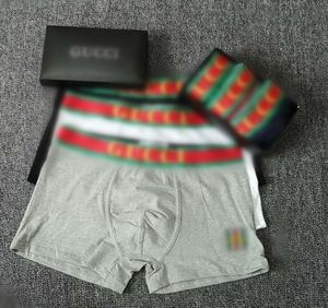 3pc/lot heren ondergoed slipjes ontwerper sexy shorts onderbroek katoen ondergoed mannelijke boksers massieve boksershorts merk onderbroek met doos