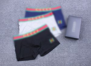 3pcs Lettre de marque sous-pants 3pcs hommes sexy sous-vêtements Low Rise Printing Thongs Briess pour hommes de jockstrap houstante avec boîte