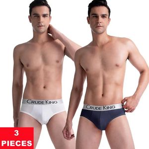 3 pièces mode hommes string lettre imprimer caleçons sous-vêtements pour hommes culottes respirantes 3D poche Shorts hommes slips sans couture Lingerie 240105