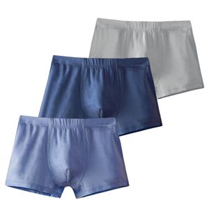 3 stks / partij Jongens Slipje Modal Kids Boy Boxer Shorts Set Solid Grey Children's Slipje Comfy Kids Ondergoed 2-20Y Mens Slipjes 211122