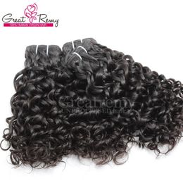 3 stks / partij Maleisisch Menselijk Haar Weven Dyable Natural Hair Wefts Water Wave Grote Krullende Remy Virgin Hair Weeft Greatremy Drop Shipping