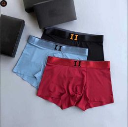 3pcs / lot pour hommes Designer Underpants Boxer Boîtres biologiques Coton Modal Sexy Gay Male Boxer Breathable New Mesh Man Underwear Taille L-4xl