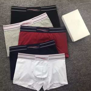 3 stks/partij Heren Ondergoed Onderbroek Boxer Katoenen Shorts Modale Sexy Homo Mannelijke Boxers Ademend Nieuwe Mesh Man Ondergoed Maat L-XXL