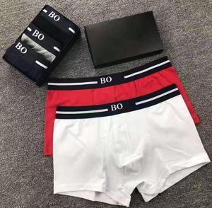 3pcs Mens Underpants boxer Boîtres de coton biologique Modal Sexy Gay Male Boxer Breatchable New Mesh Man Underwear Asian Taille M-xxl