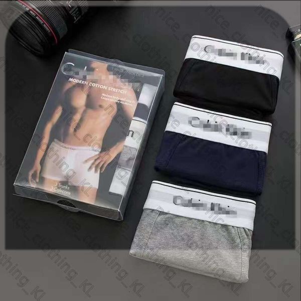 3PCS / Set Sexy Men Underwear Boxers for Men Cotton Underpants Brand Brand Designer Mens Underwear Calvins Boxer Plusieurs couleurs Breatch Sous-Pants 434